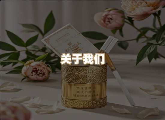 关于云歌烟网